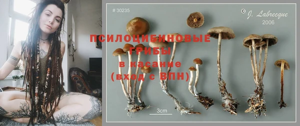 таблы Алексин