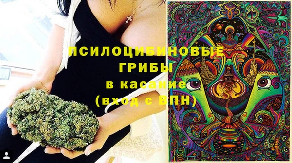 ешки Алзамай