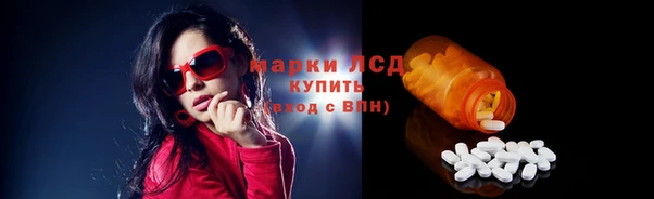сатива Арсеньев